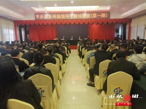 平乡爆料最新事件新闻,揭秘XX真相，引发社会关注  第2张